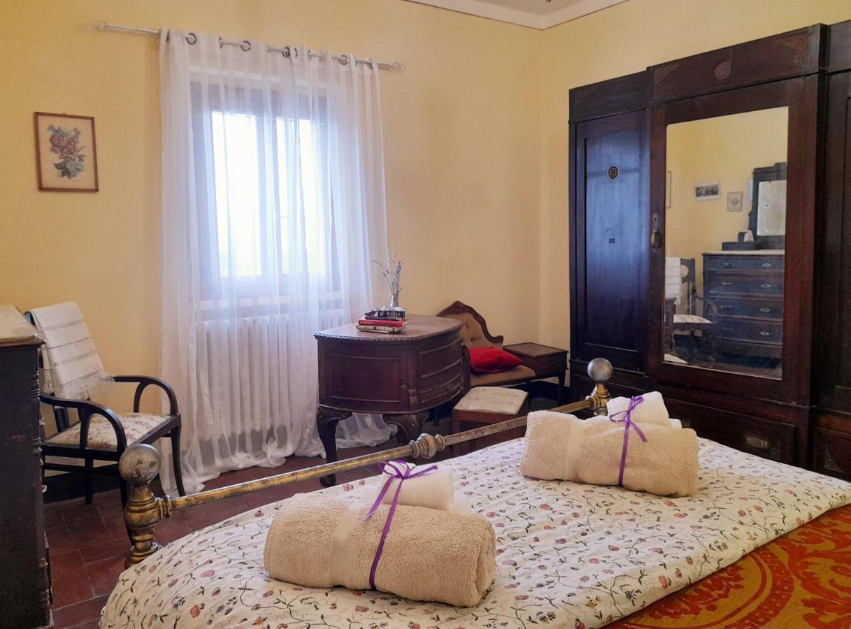 Appartamento La Zanzara Pergine Valdarno Zewnętrze zdjęcie